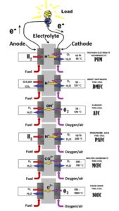 Schematics of fuel cells
