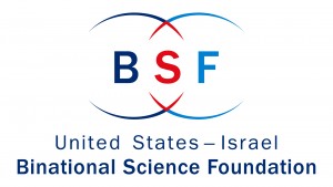 BSF logo