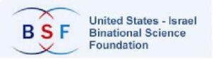 BSF logo