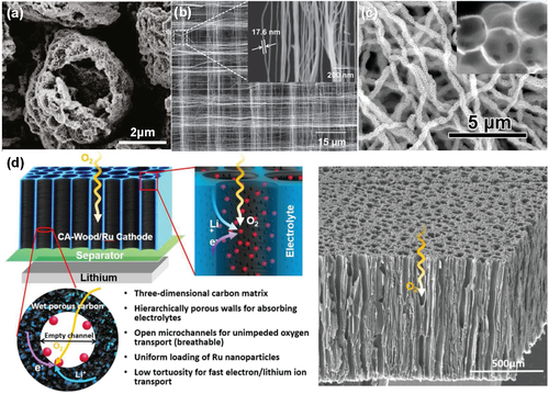 3 - adfm201808303-fig-0001-m